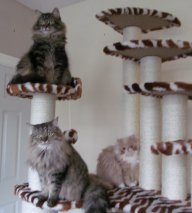 Leroy and Ava